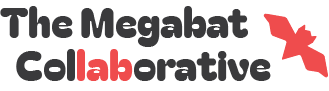 The Megabat Collaborative